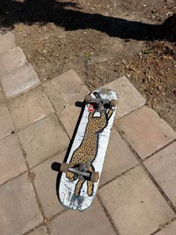 Skateboard