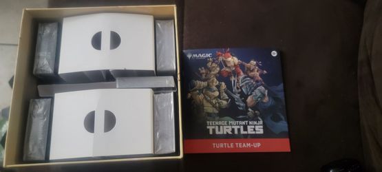 TMNT Turtle Team Up