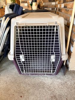 Large Hard-Sided Pet Travel Crate