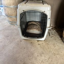 Extra large dog crate