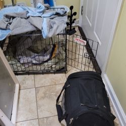 Dog Items