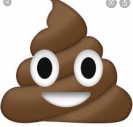 FREE Horse manure! Please read entire post