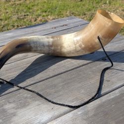 17" Viking-Style Natural Drinking Horn w/ Metal Tip & Strap – Mead Ale Beer Horn


