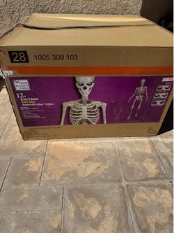 Skeleton