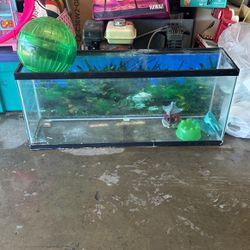 Fish/hamster Tank