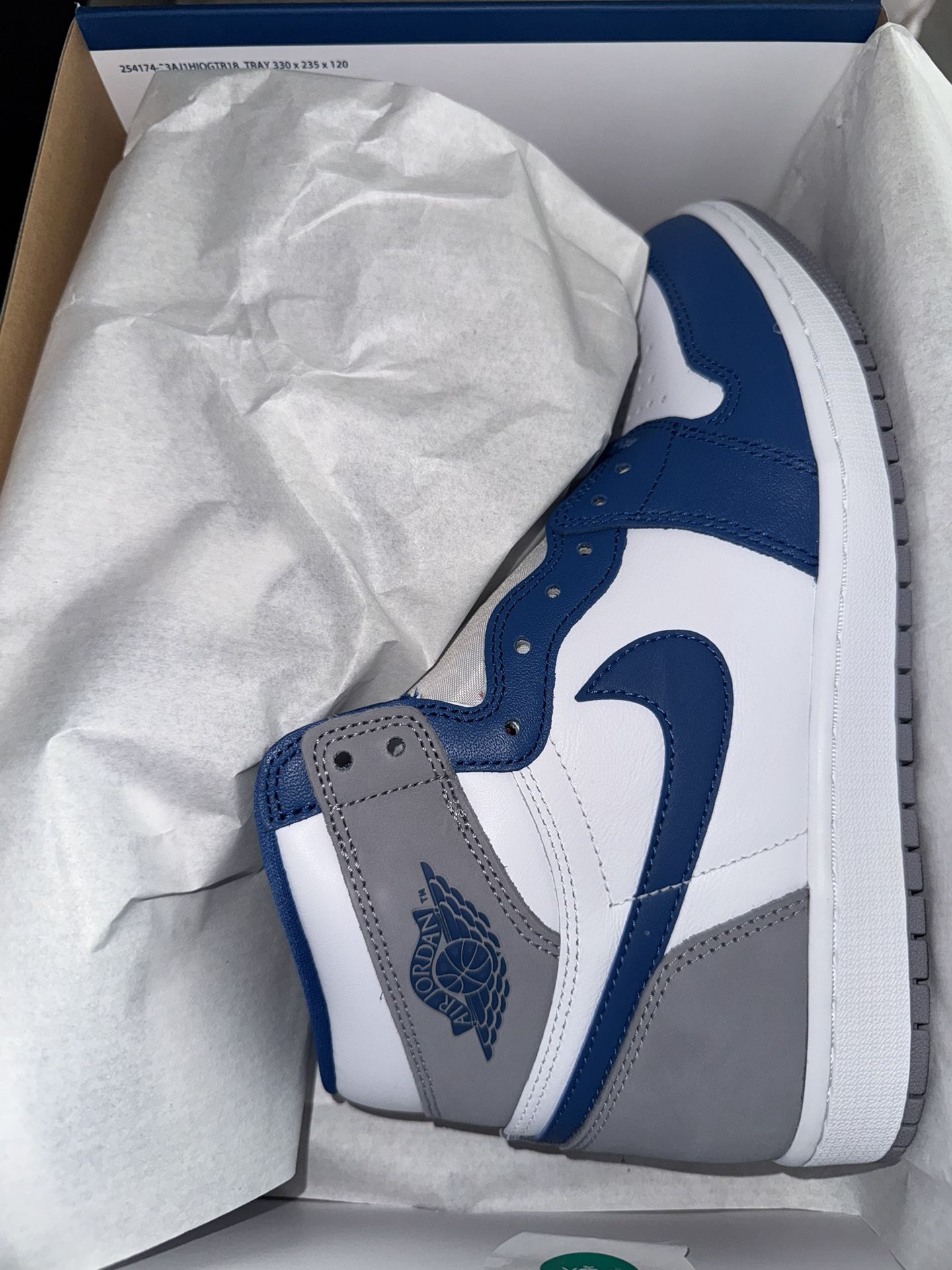 Retro 1 True Blue