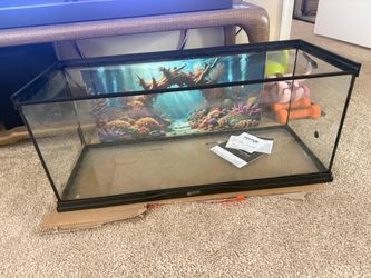 Tank