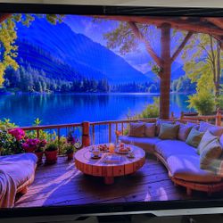 42 Inch Vizio TV 