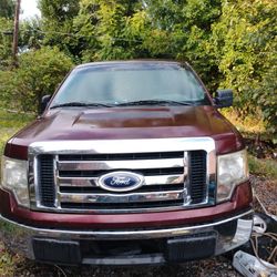 2010 Ford-F 150