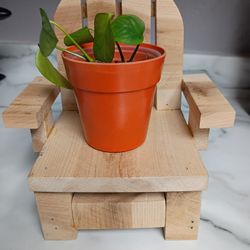 Plant Stand.                                               San Jacinto