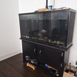 70 Gallon Fish Tank 