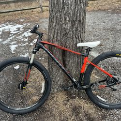 Giant Fathom 2 29er 