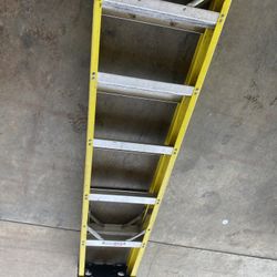 6ft Ladder