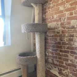 6ft Tall Cat Tree
