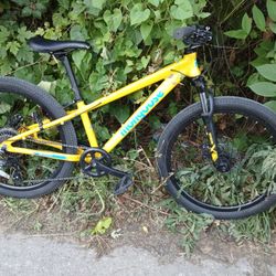 Brand New Yellow Mountain Bike