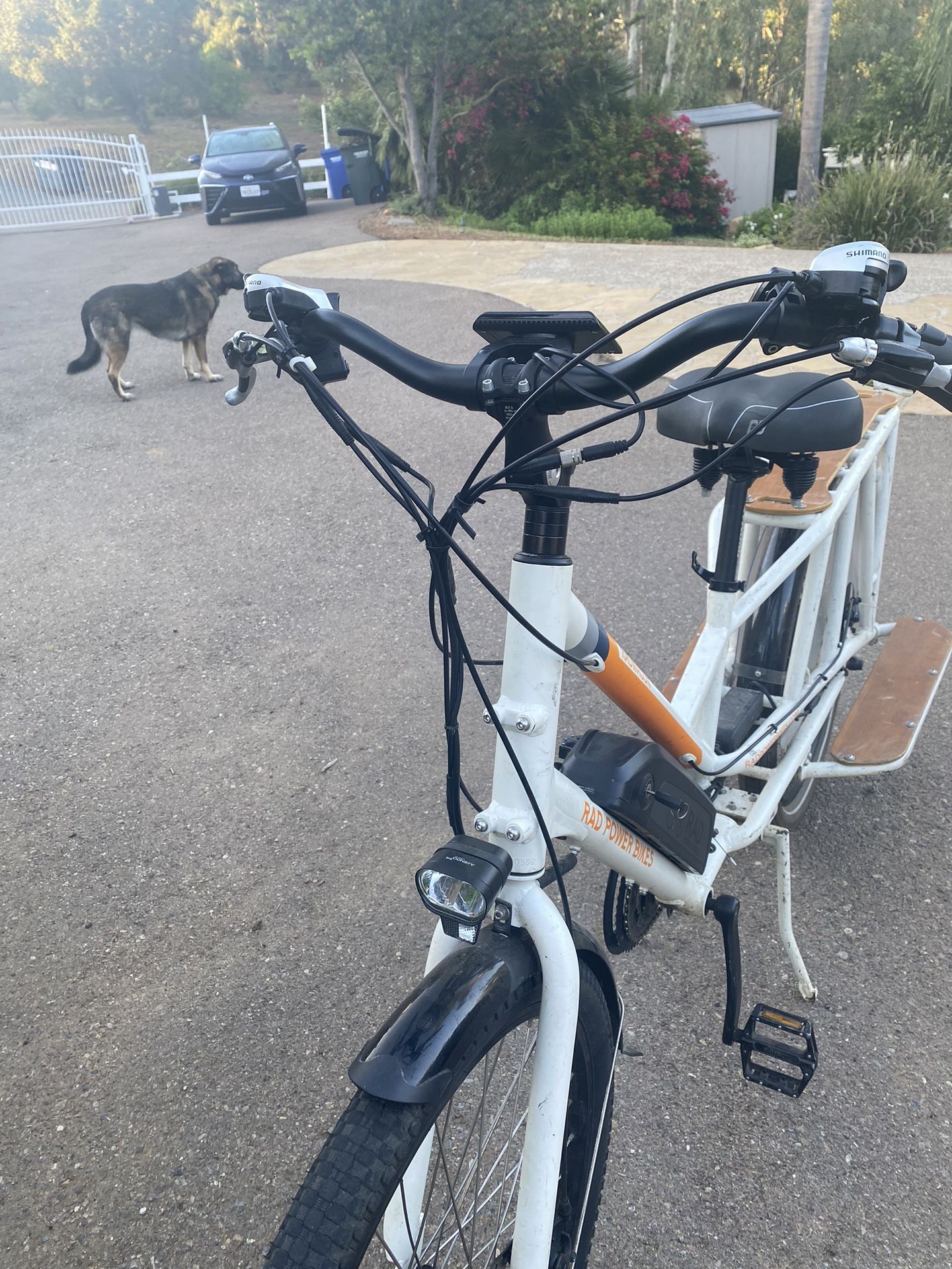 Rad Wagon Bike