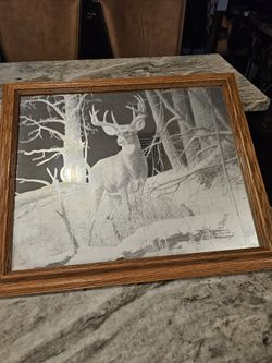 Jim Hansel  1993 DEER 🦌  ETCHED  FROSTED MIRROR 23"×19"