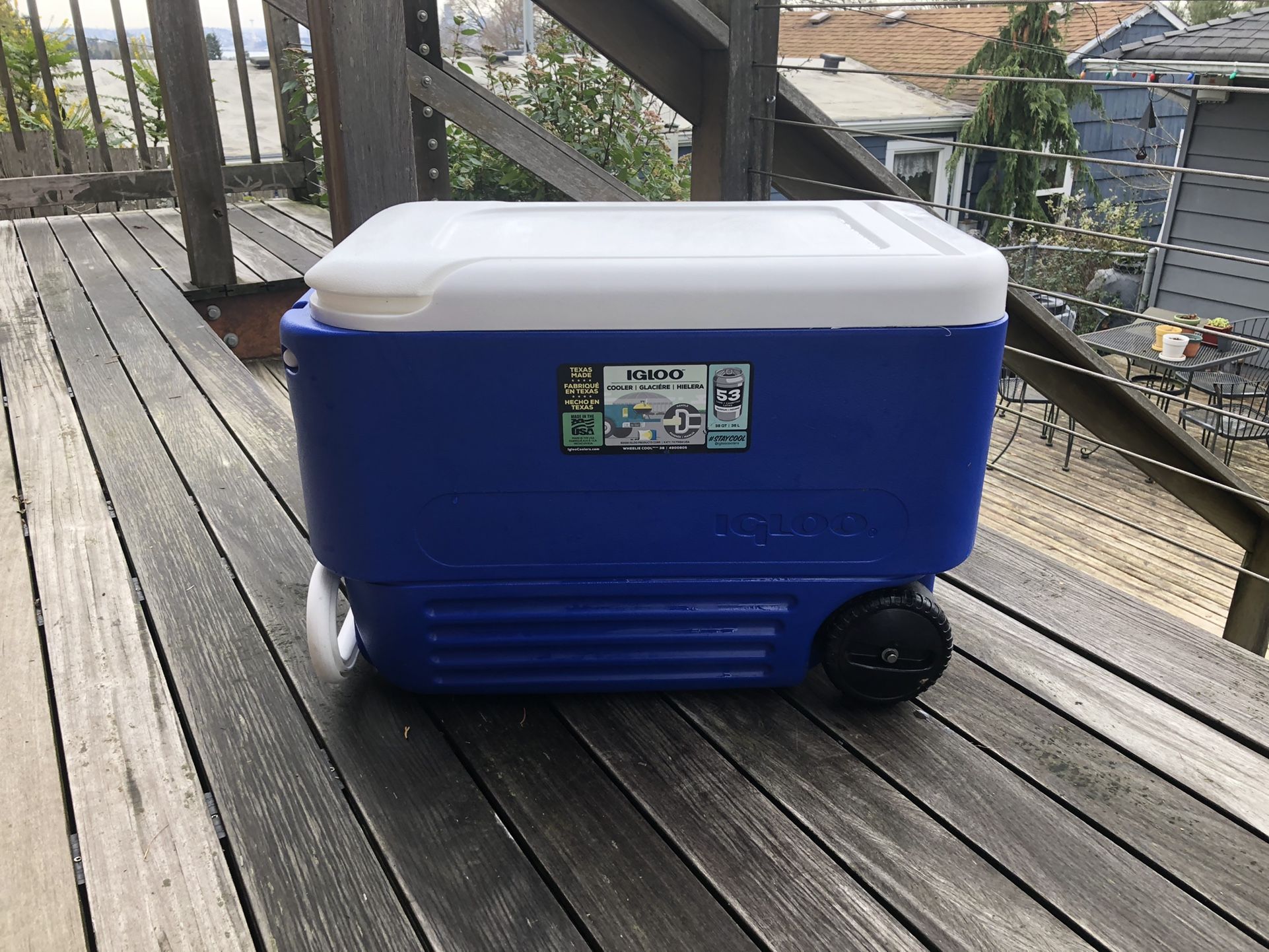 Igloo Cooler