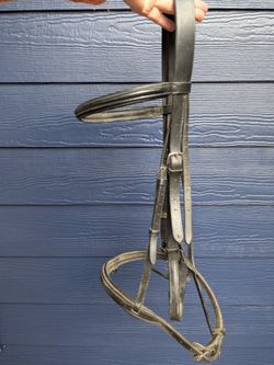 English bridle, raised