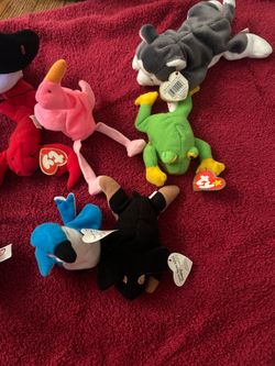 Collector Ty  beanie babies
