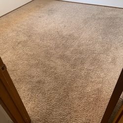 Carpet