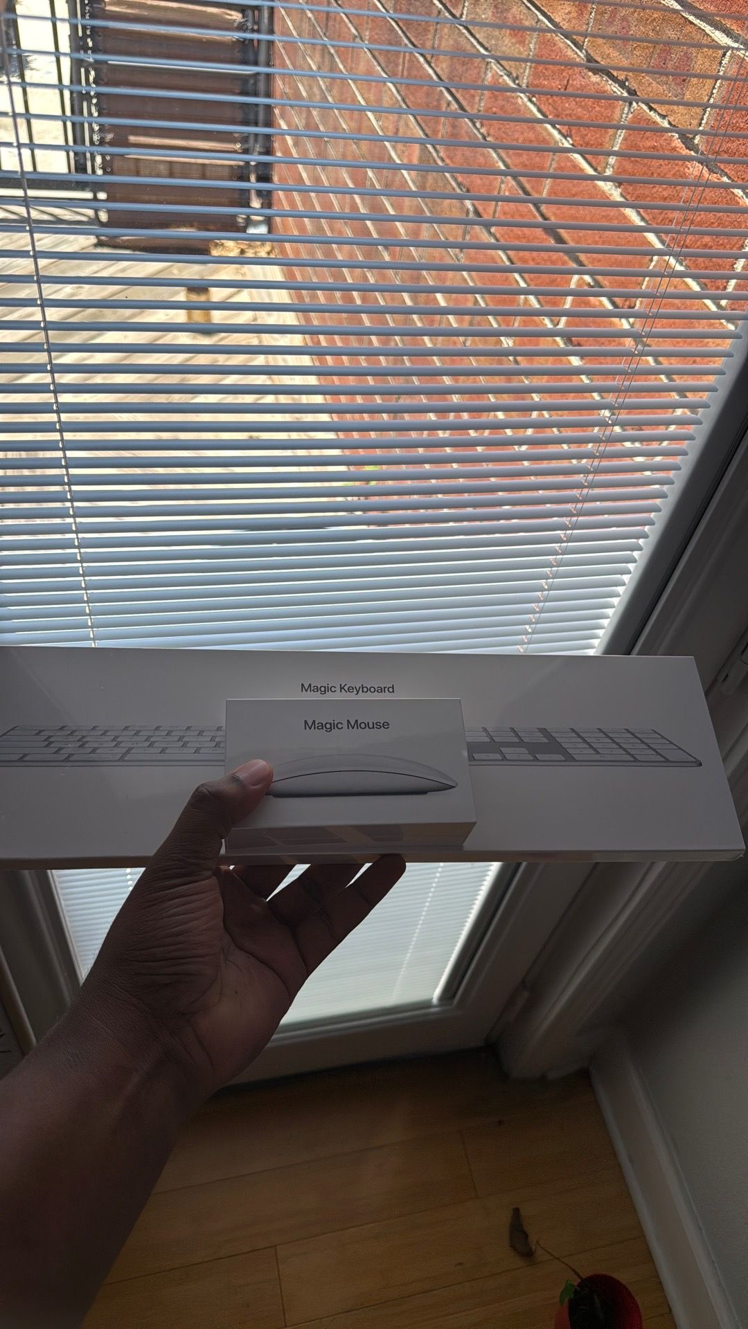 Apple Magic Mouse and Keyboard
