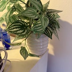 New Faux Plant In White Ceramic Pot