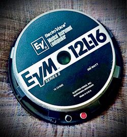 EVM-12L16 guitar speakers