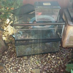 Tons Of Fish/reptile Tanks