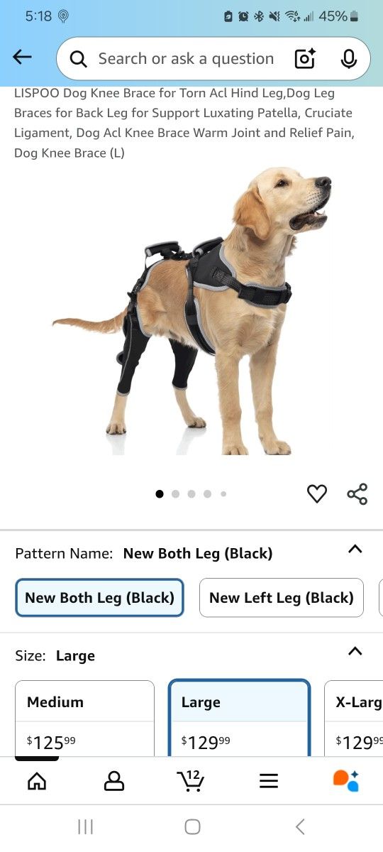 Dog ACL Brace