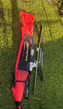 Dynastar Skis