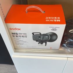 Godox Ms300