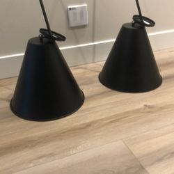 Two Pendant Lights