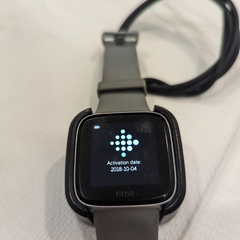 Fitbit Versa 1 Special Edition 