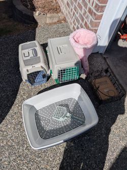 Free cat supplies
