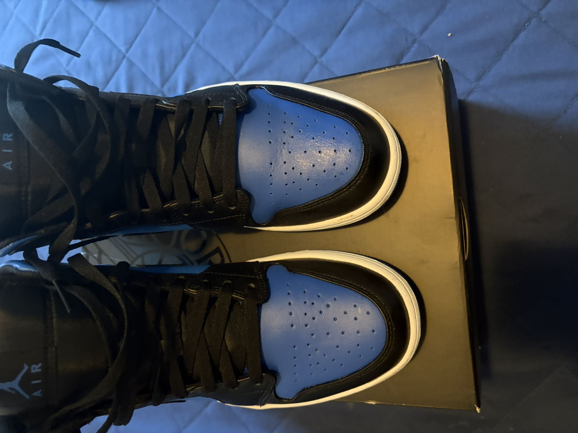 Air Jordan 1 Size 12