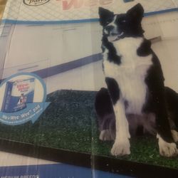 Four Paws Wee Wee Patch Indoor Potty New med dogs