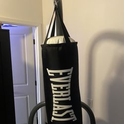 Everlast Boxing Bag And Stand 