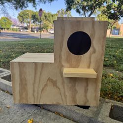 Parrot nest box