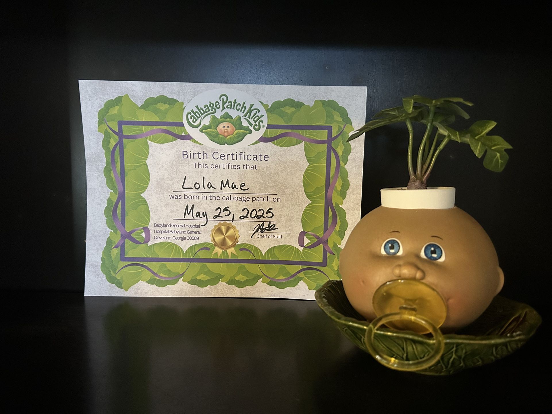 Unique CPK Planters!!