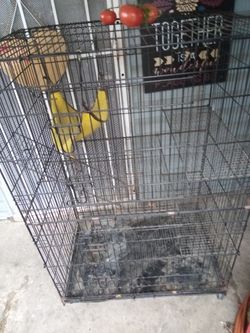 Pet Cage