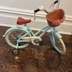 Our Generational Bike