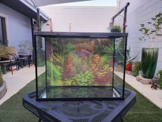 37 Gallon Aquarium / Fish Tank