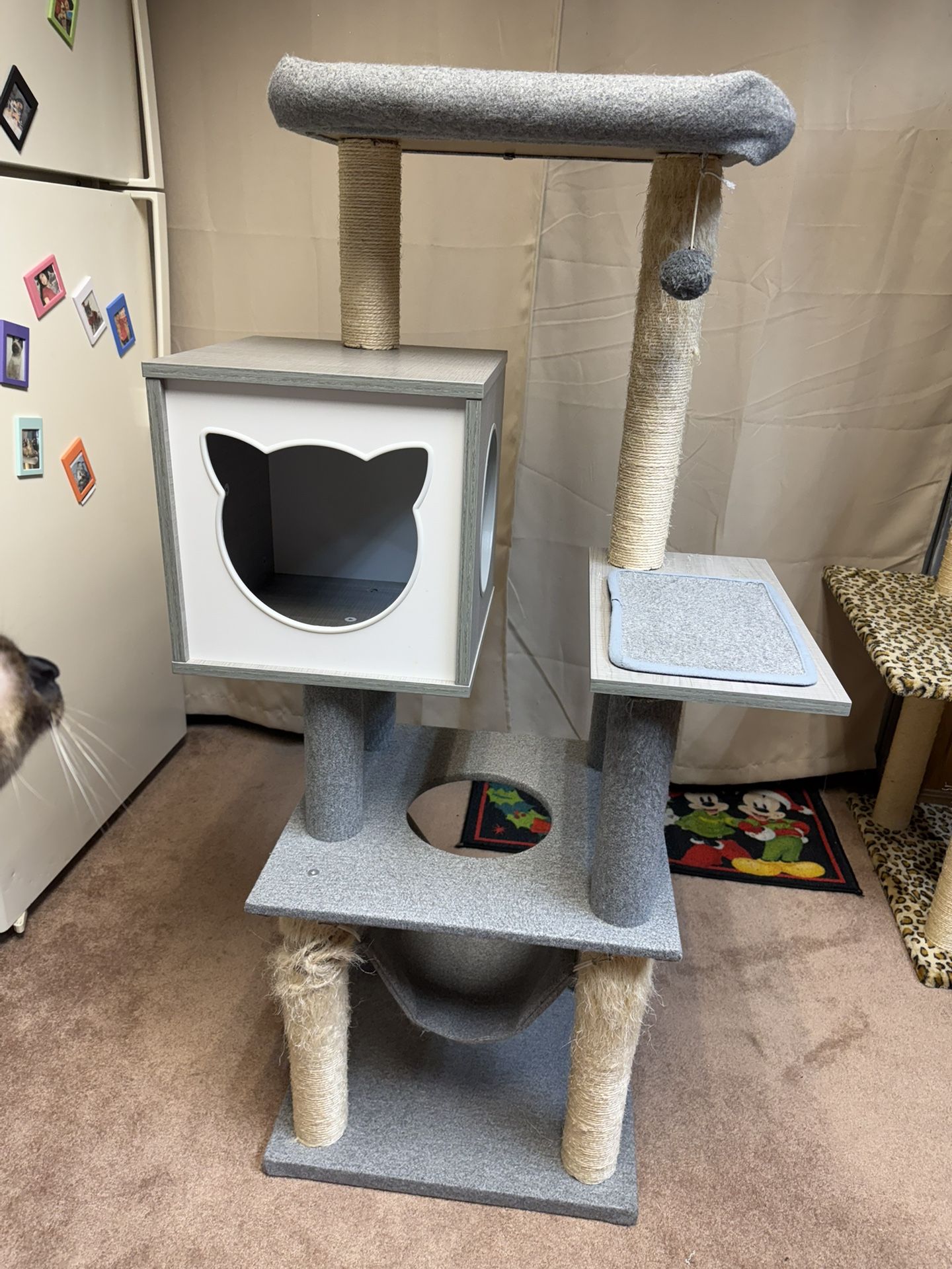 Cat Tower