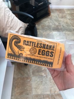 Rattlesnake eggs