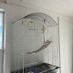 Bird Cage Everything Included
