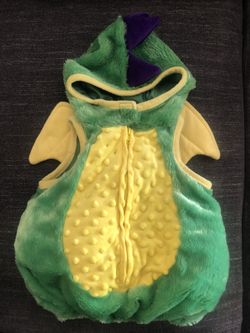 Dragon baby costume