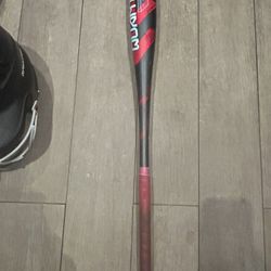 Easton Quantum Baseball Bat