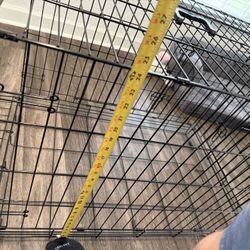 Dog Cage For Medium Size Dog (it Has Bottom Catch Pan )