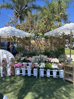 Bloom Bar, Flower Display, Baby In Bloom, Flores, Flower Bar, Flower Bouquet